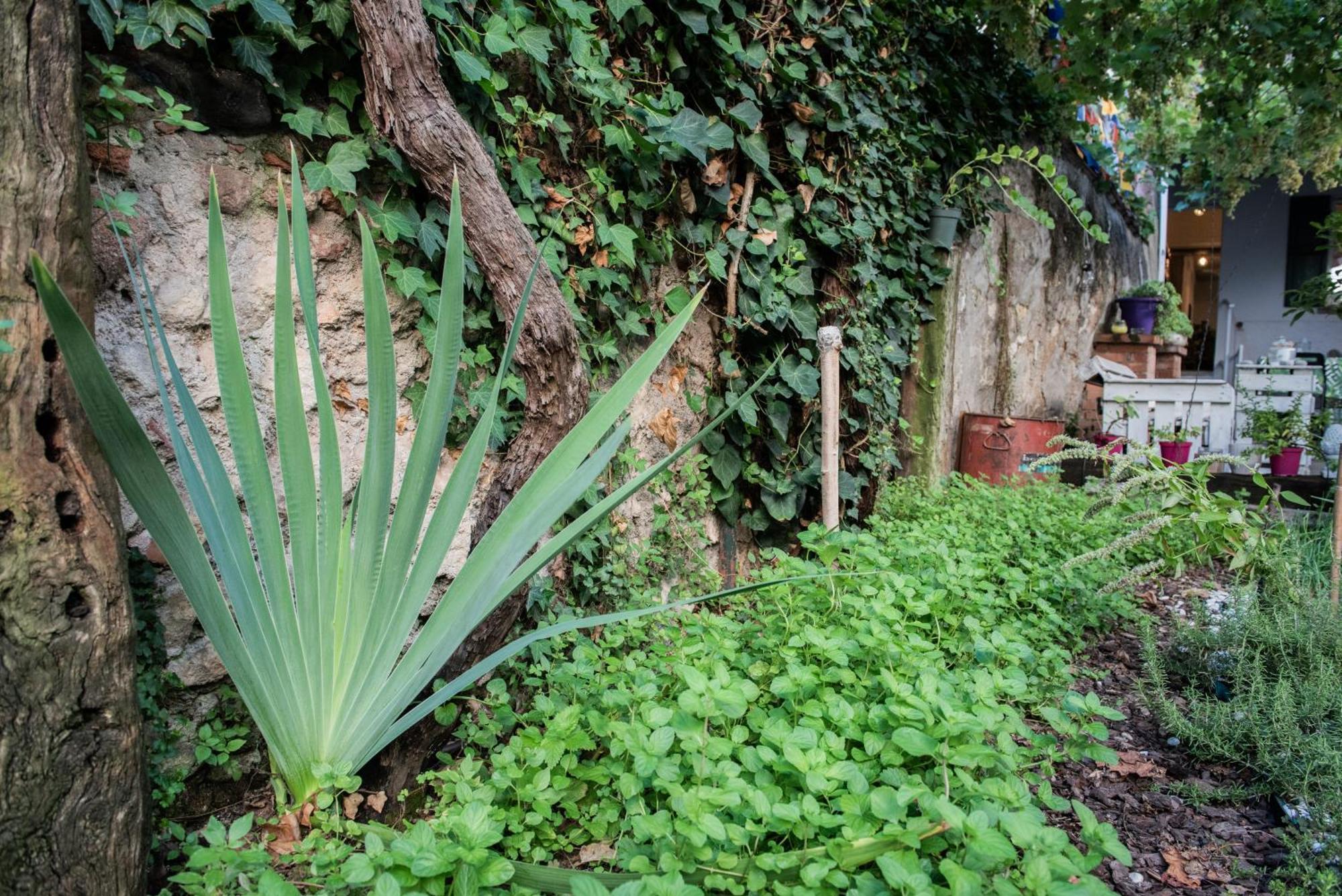 מלון ורונה Casa Babbuino מראה חיצוני תמונה